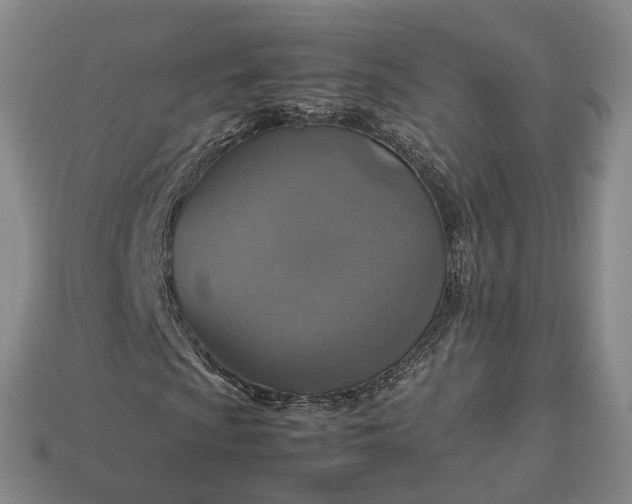 X0000112951009200909071111