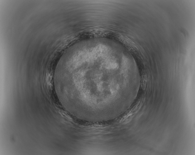 X0000112951010200909071111