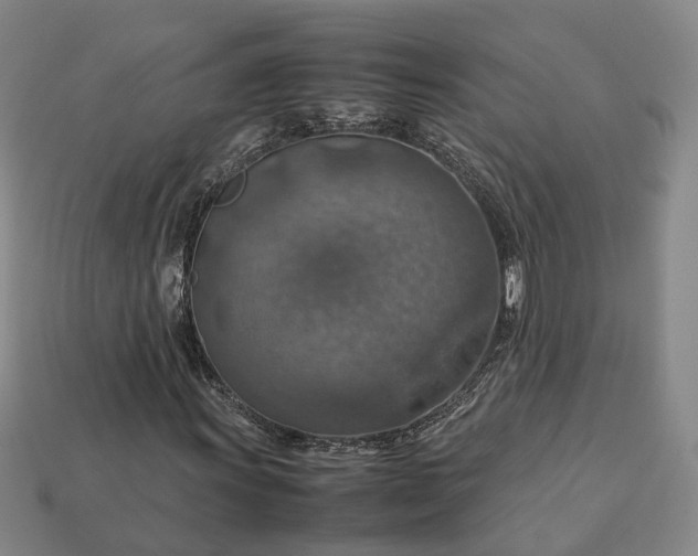 X0000112951011200909071111