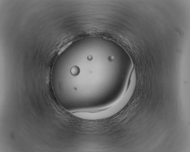 X0000112951012200909071111