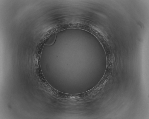 X0000112951013200909071111