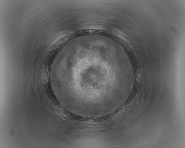 X0000112951014200909071111