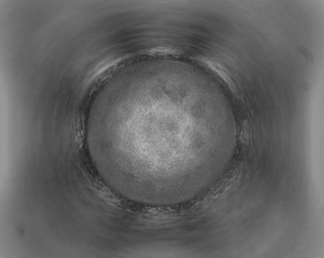 X0000112951015200909071111