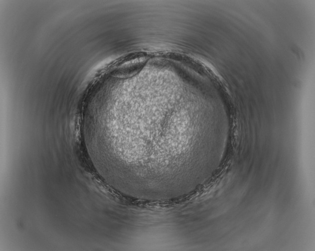 X0000112951016200909071111