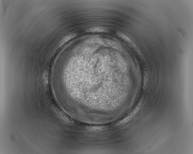 X0000112951017200909071111