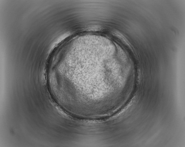 X0000112951018200909071111