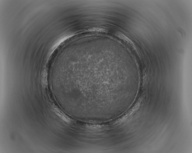 X0000112951019200909071111