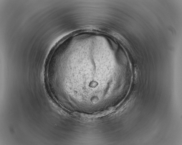 X0000112951020200909071111