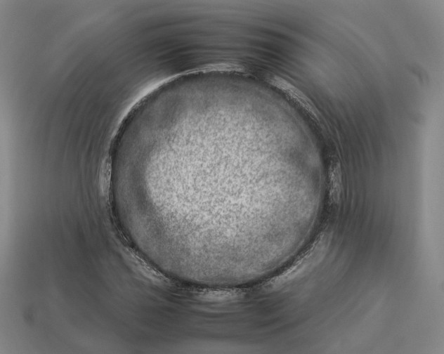 X0000112951021200909071111