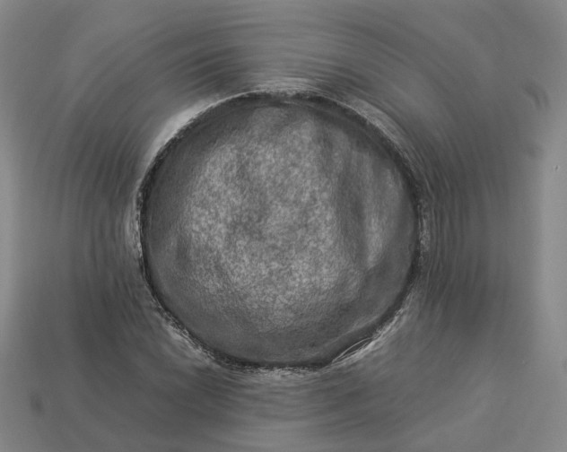 X0000112951022200909071111