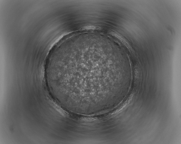 X0000112951023200909071111