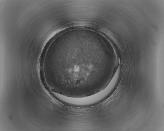 X0000112951024200909071111