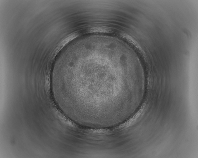 X0000112951025200909071111