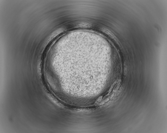 X0000112951026200909071111