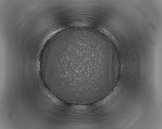 X0000112951027200909071111