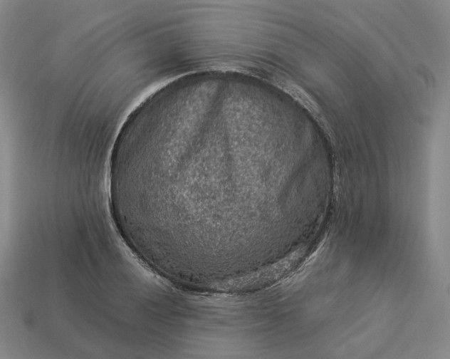 X0000112951028200909071111