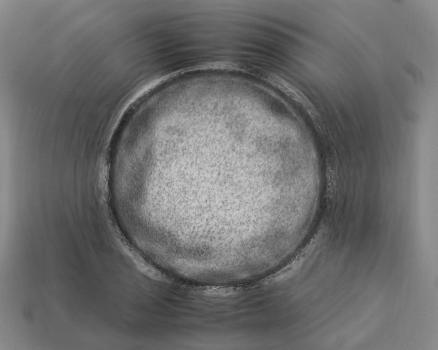 X0000112951029200909071111