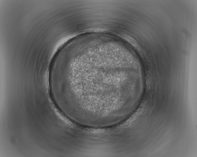 X0000112951030200909071111