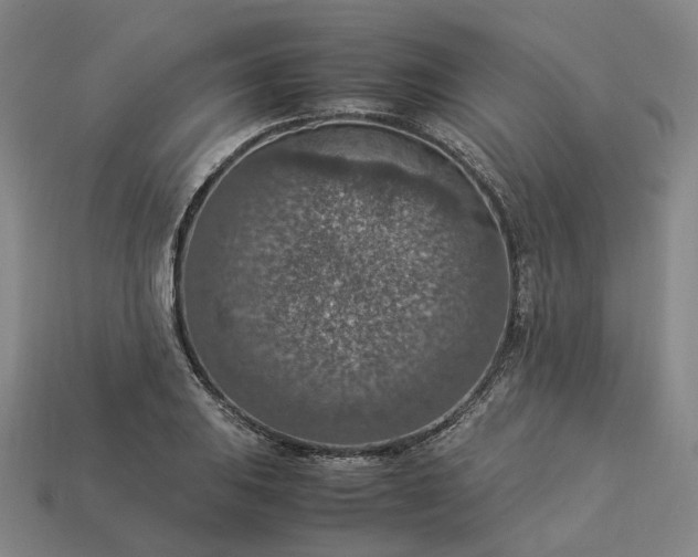 X0000112951031200909071111