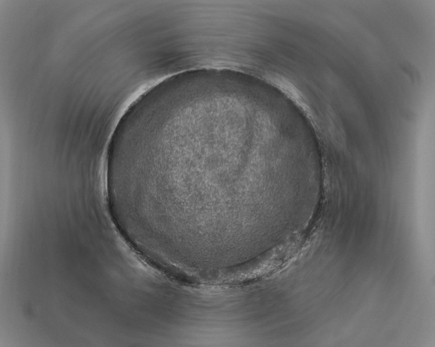 X0000112951032200909071111