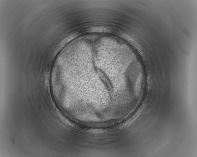 X0000112951033200909071111