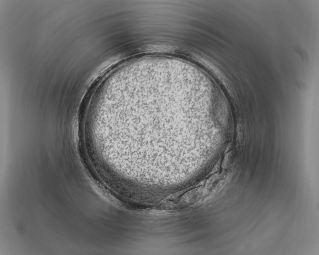 X0000112951034200909071111