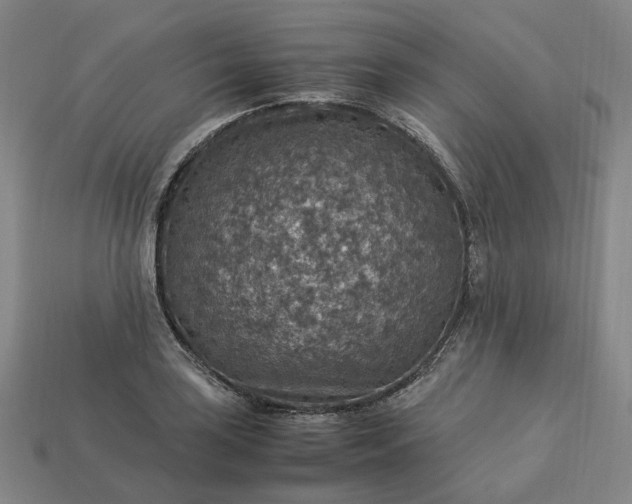 X0000112951035200909071111