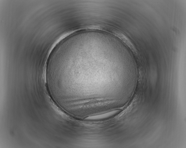 X0000112951036200909071111