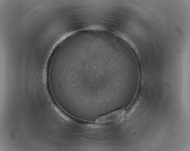 X0000112951037200909071111