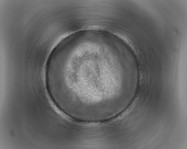 X0000112951038200909071111