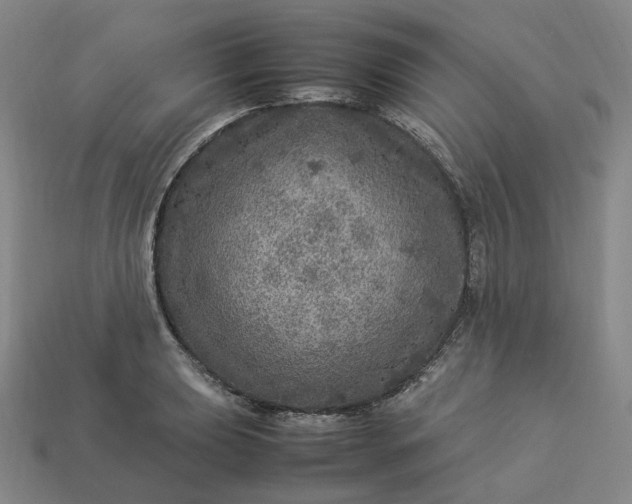 X0000112951039200909071111