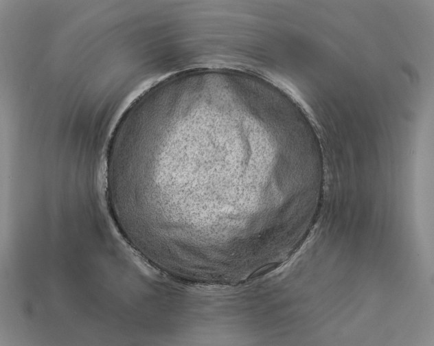 X0000112951040200909071111