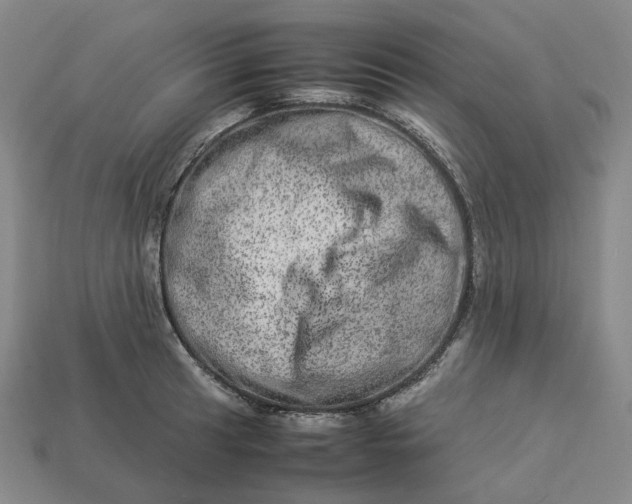 X0000112951041200909071111