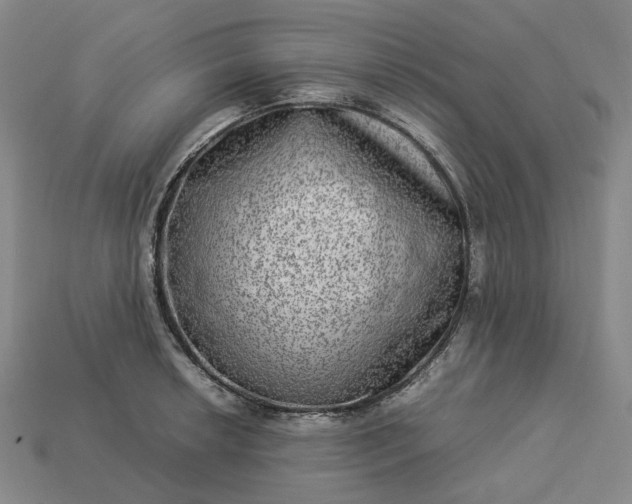 X0000112951042200909071111