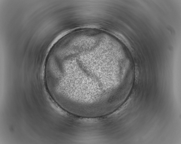 X0000112951044200909071111