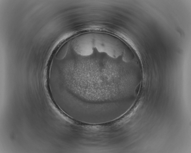 X0000112951045200909071111