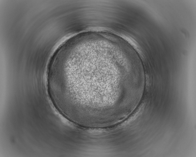 X0000112951046200909071111