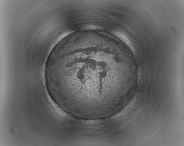 X0000112951047200909071111