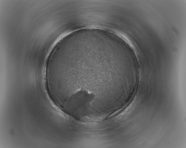 X0000112951048200909071111