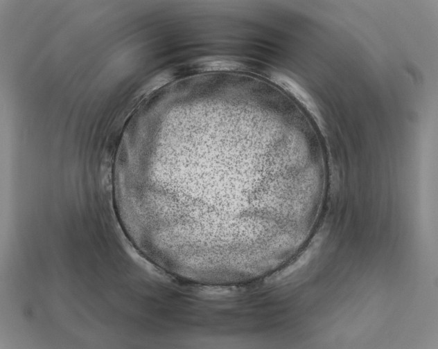 X0000112951049200909071111