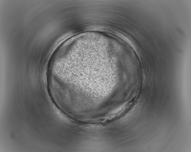 X0000112951050200909071111