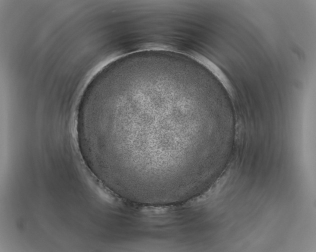 X0000112951051200909071111