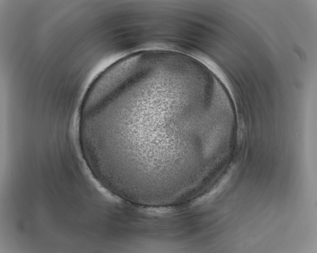 X0000112951053200909071111