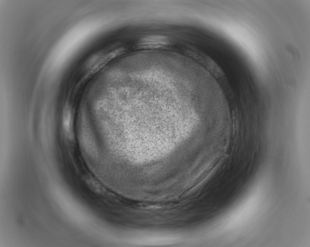 X0000112951054200909071111