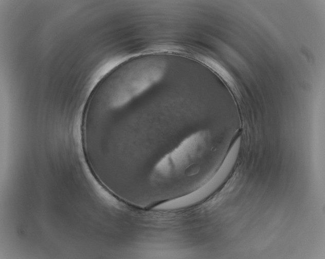 X0000112951055200909071111