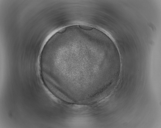 X0000112951056200909071111