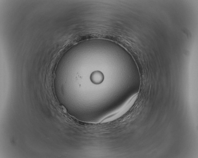 X0000112951057200909071111