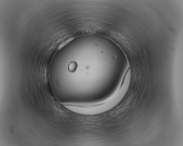 X0000112951060200909071111