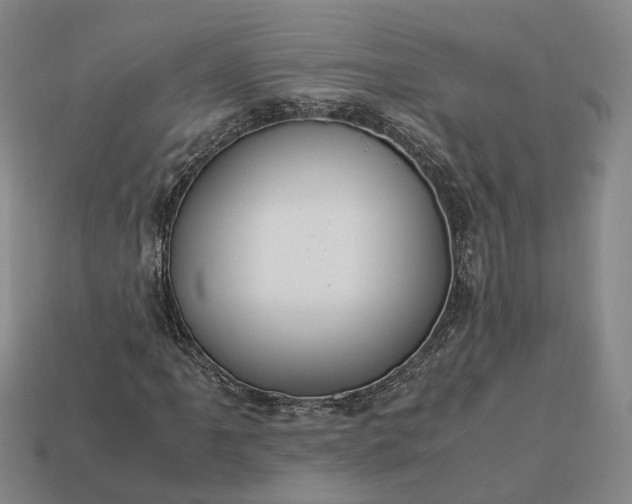 X0000112951061200909071111