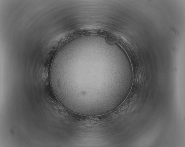 X0000112951062200909071111